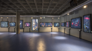 Exposición los colores del Universo.